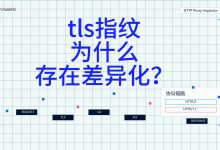 Rust的TLS指纹采集与分析系统设计 TLSFOWARD TLS指纹库-171主机测评