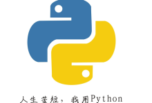 浏览器自动化:Selenium 爬取反爬网站Python模拟点击 + 数据提取全流程-171主机测评