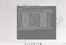 雨晨 Windows 11 IoT 企业版 LTSC 26H2 轻装 26300.9268 正式版-171主机测评