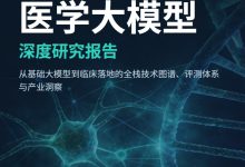 医学大模型深度研究报告（2026年8月版第一部分）-171主机测评