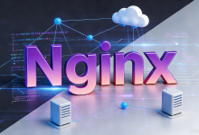 Nginx- 大流量场景下 Nginx 的负载均衡集群优化-171主机测评