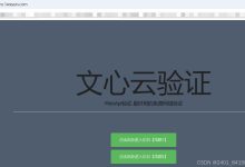 永久免费的网络验证 文心云验证 最好用的webapi验证 卡密系统 验证系统-171主机测评