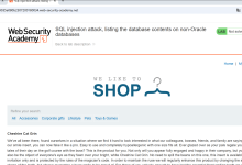 Web Security Academy 第五关:非 Oracle 数据库 SQL 注入实战详解-171主机测评