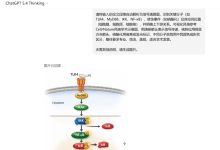 “GPT-5.6，你能在5分钟内帮我生成《Nature》级别的图表吗？ ”-171主机测评