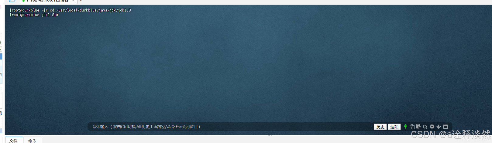JAVA 开发环境安装 linux平台,安装jdk1.8以及jdk11 第5张