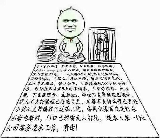 程序员系列表情：全能