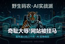 奇耻大辱,我的网站被挂马,服务器已沦陷三个月-171主机测评