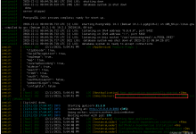 【Docker项目实战】Docker环境下部署immich照片管理系统-171主机测评