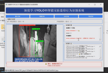 毕设开源 yolo11智能安防偷盗行为识别系统（源码+论文）-171主机测评