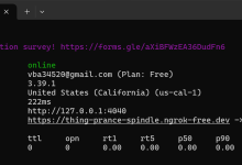 ngrok实现内网穿透(以Python FastAPI为例)-171主机测评