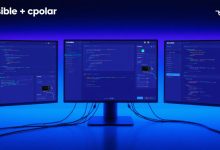 NAS 运维到 Playbook:Ansible + cpolar 远程自动化实战-171主机测评