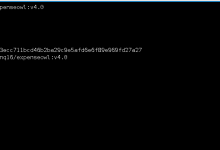 Docker开源项目: 基于Ubuntu系统部署ExpenseOwl自托管记账工具实战教程-171主机测评