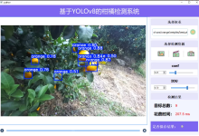 柑橘果实检测数据集 深度学习基于 YOLOv8 yolo11柑橘果实检测系统 柑桔柑橘数据集的训练及应用-171主机测评