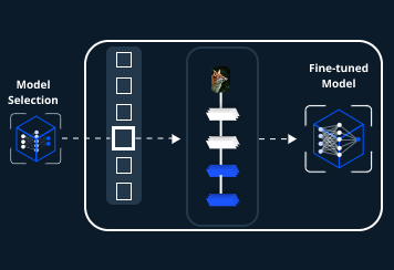 How to fine-tune a pre-trained model for Generative AI applications?