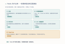 Redis 01 · 开篇：Redis 为什么快-171主机测评
