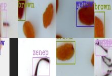 YOLO显微镜下植物种子形态目标检测数据集-10000张-171主机测评