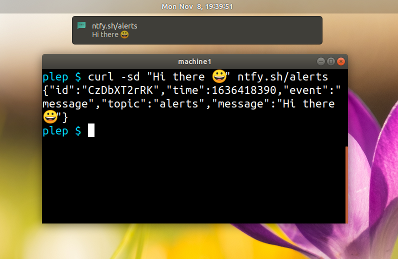 ntfy 推送通知 curl 发送界面示例