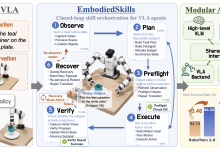 EmbodiedSkills:用于协调、训练和部署 VLA 智能体的统一框架-171主机测评