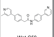 Wnt-C59在Wnt信号通路研究中怎么用？从PORCN机制到类器官实验设计-171主机测评