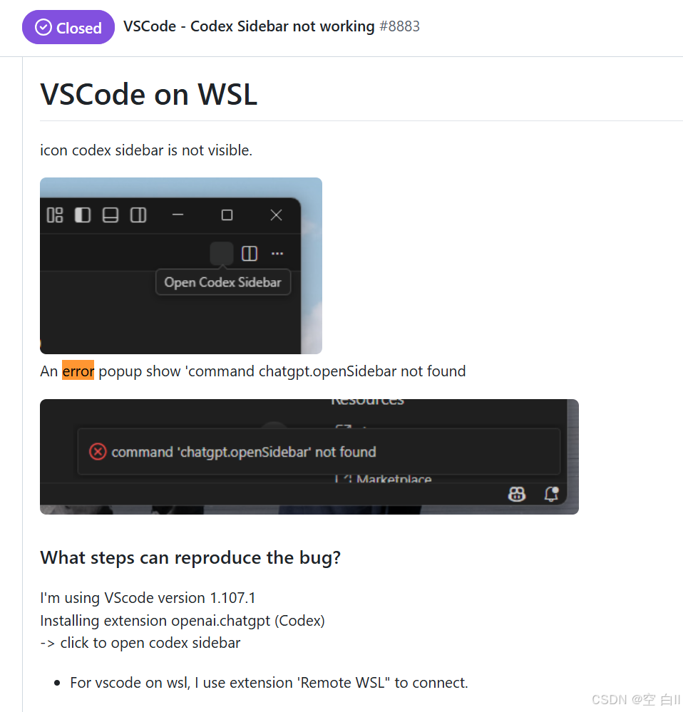 codex issue 8883截图