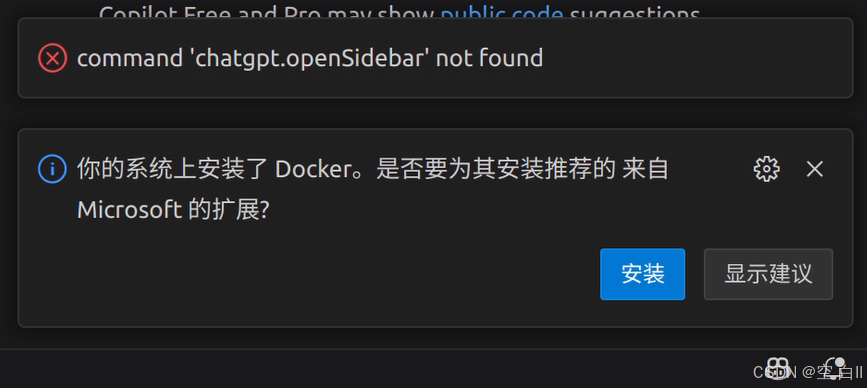 codex 的 vscode 插件报错截图