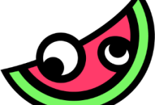 MelonLoader安装全攻略：Windows、Linux、macOS三平台详细教程-171主机测评