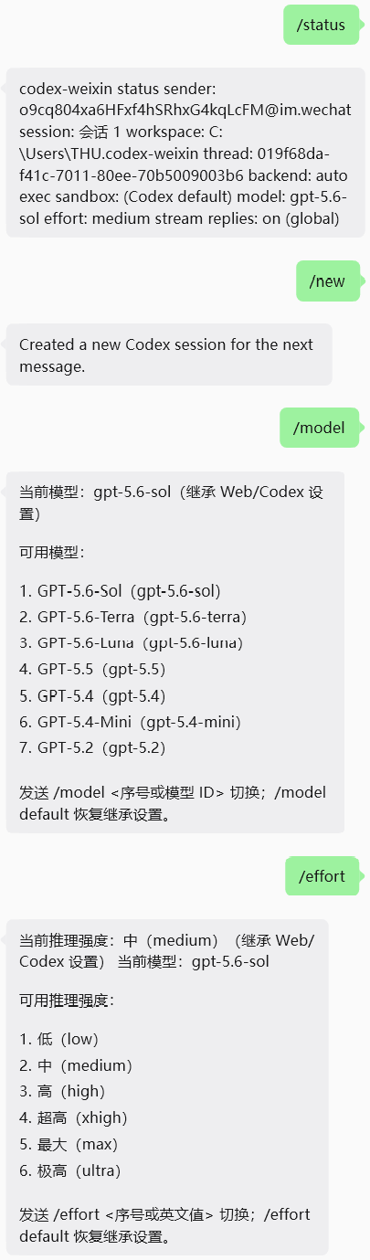 Codex 命令与会话控制