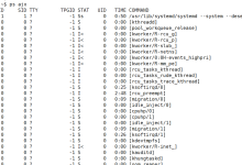 【Linux】初识进程：进程的概念和状态-171主机测评
