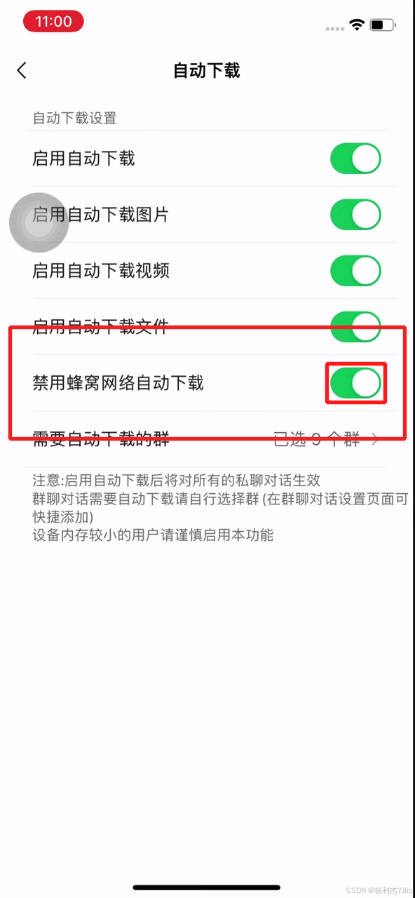 锤子助手自动下载页面中禁用蜂窝网络自动下载开关定位总览