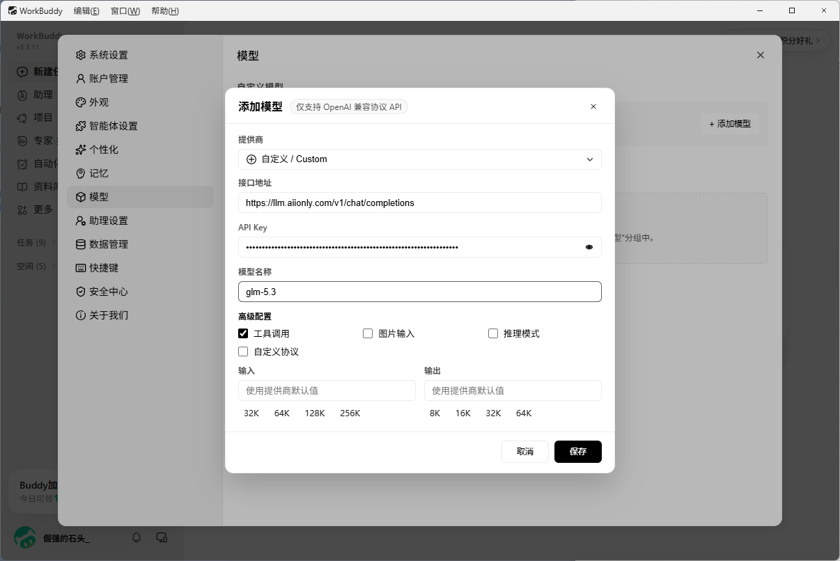配置自定义模型填入信息.png
