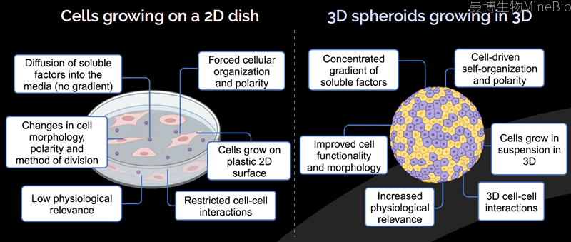 Gri3D微腔阵列