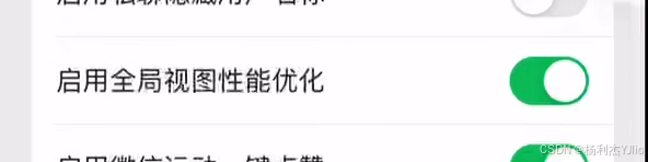 黄白助手 启用全局视图性能优化开关状态特写