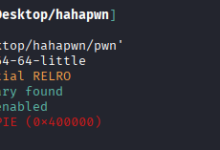 buuctf-pwn hahapwn(canary+orw)题解(学习过程持续更新)-171主机测评