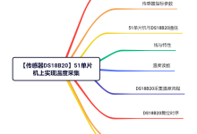 【传感器DS18B20】51单片机上实现温度采集-171主机测评