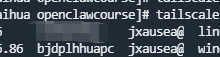 不用公网 IP,把 Windows 和 Linux 服务器放进同一个局域网:Tailscale 组网实战-171主机测评