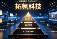 AI时代品牌怎么抢占海外新流量?拓氪科技出海增长解决方案有哪些优势?-171主机测评