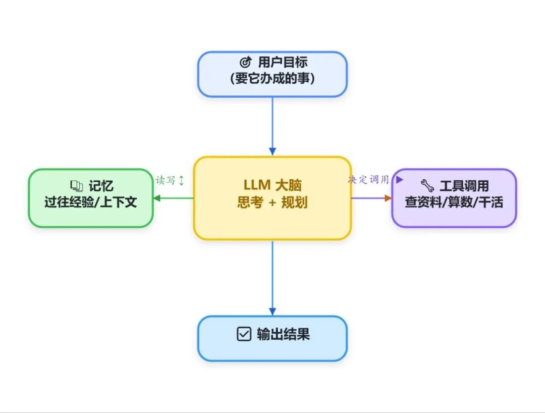 图2：Agent 身体构造