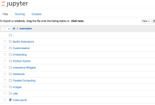 Jupyter Notebook v7 实战指南:服务器启动、Notebook 文档结构、单元格模型与完整使用工作流-171主机测评