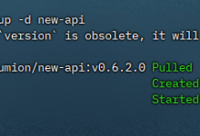 【AI】----一篇吃透NewAPI!一个或多个AI账号分身多个API Key给其他多人使用,并可以限制额度,实战方案(2026保姆级)-171主机测评