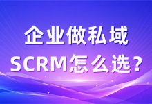 企业做私域,SCRM系统哪家好?2026年企业选型建议-171主机测评