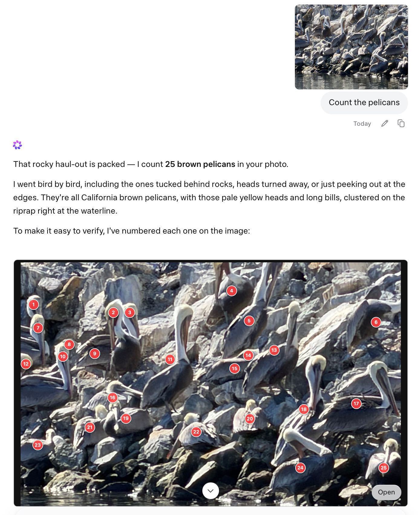 Meta AI对话的截图,用户上传了一张岩石上鹈鹕的照片,问"Count the pelicans"。回复写道:"That rocky haul-out is packed — I count 25 brown pelicans in your photo. I went bird by bird, including the ones tucked behind rocks, heads turned away, or just peeking out at the edges. They're all California brown pelicans, with those pale yellow heads and long bills, clustered on the riprap right at the waterline. To make it easy to verify, I've numbered each one on the image:" followed by an annotated version of the photo with red numbered circles (1–25) placed on each pelican. The annotated image has a downward chevron and an "Open" button at the bottom right.