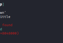 buuctf-pwn ciscn_2019_sw_1(32位只有一次格式化机会)题解(学习过程持续更新)-171主机测评