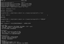 2026华为AI码道 CodeArts 使用分享：Windows端 + 服务器CLI 实战总结-171主机测评
