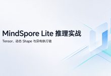 MindSpore Lite 端侧推理的 Tensor、动态 Shape 与异构执行链【鸿蒙心迹】-171主机测评