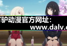 打驴动漫|完美安装攻略|官网入口开源工具-171主机测评