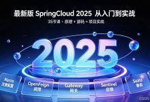 第11课：Nacos 多环境、多服务配置隔离 & 配置优先级详解-171主机测评