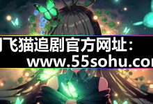 网飞猫追剧详细解析|官网入口安装|与更新方法-171主机测评