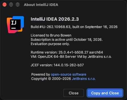 本次开发环境信息,区分 IDE 运行时与项目使用的 JDK