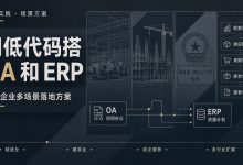 用低代码搭OA和ERP:中小企业多场景落地方案-171主机测评