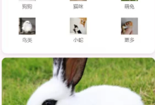 宠物领养系统|基于springboot + vue微信小程序宠物领养系统(源码+数据库+文档)-171主机测评